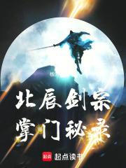 北辰剑宗掌门秘录章节列表