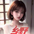 乡野小医王章节列表