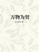 万物为契章节列表