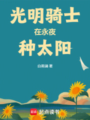 光明骑士在永夜种太阳章节列表