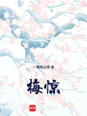 梅惊章节列表