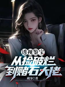 透视鉴宝：从捡破烂到赌石大佬章节列表